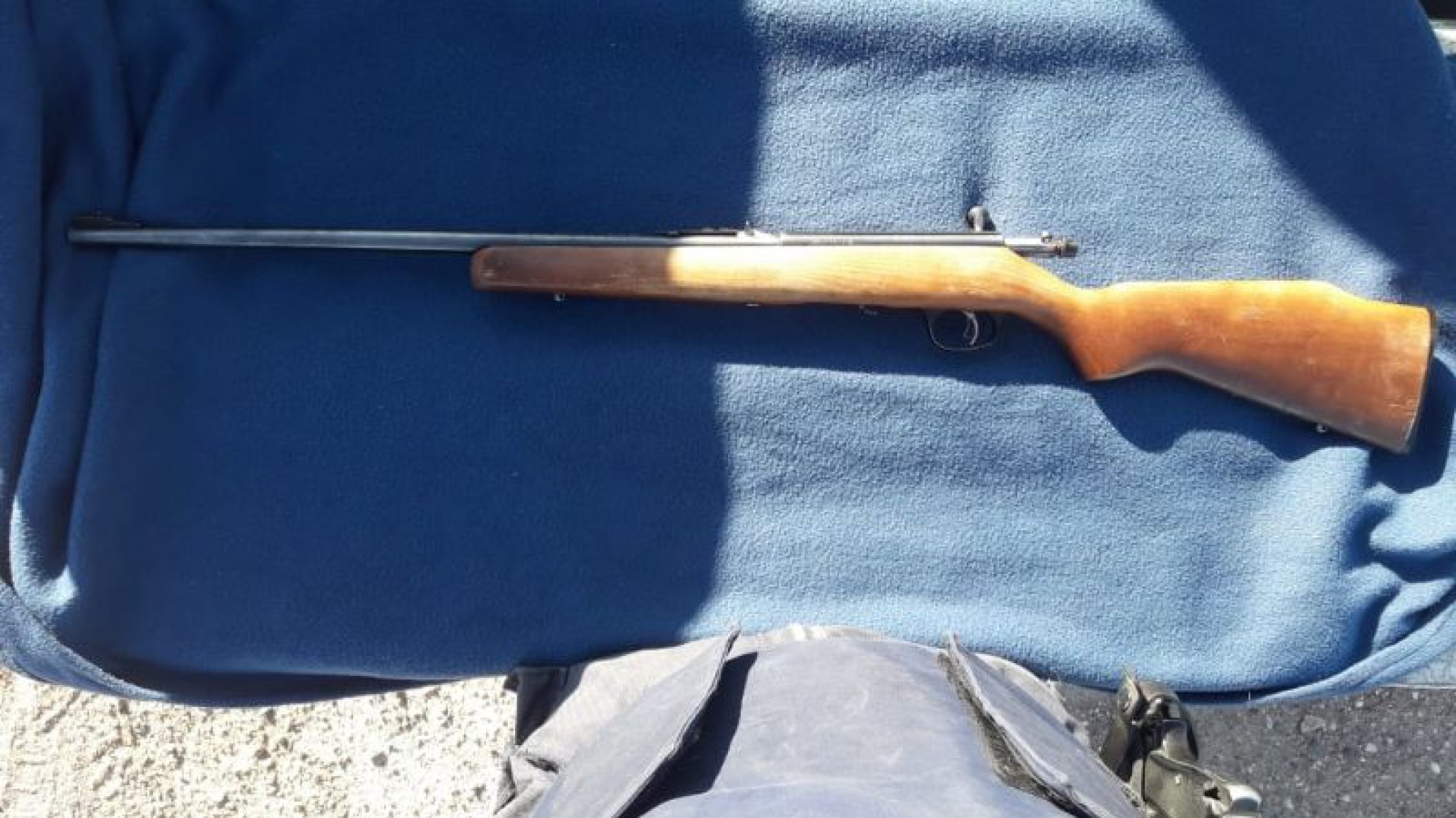 Trasportaban guanacos ilegalmente y se trasladaban con armas por la ruta