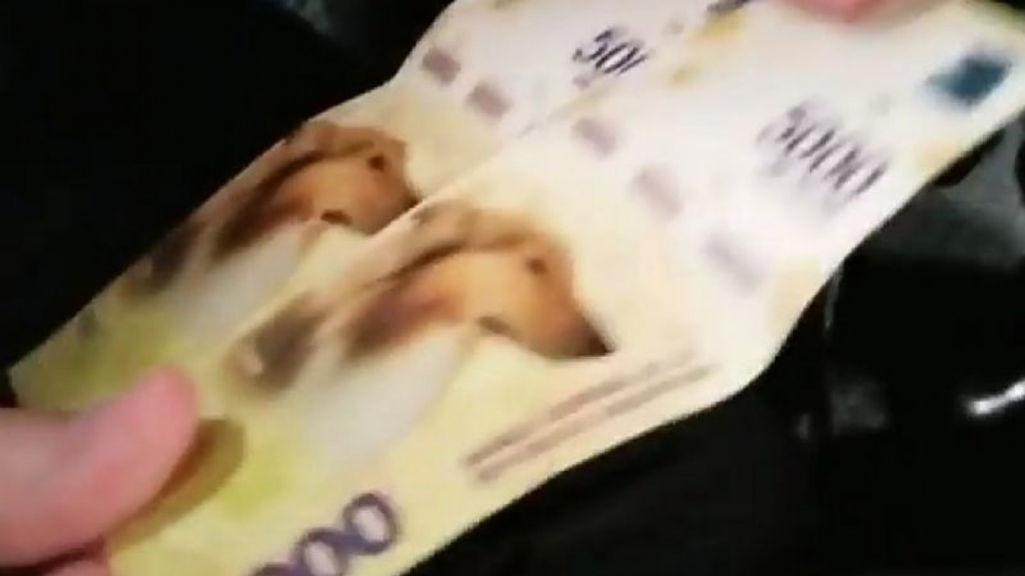 Un nuevo billete tiene la imagen de ”Dylan” el perro de Alberto Fernández