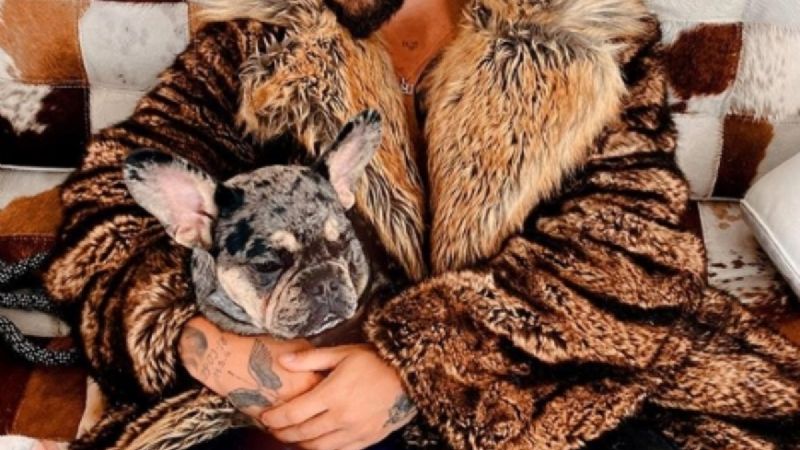 Emocionado y con los ojos rojos, Maluma reveló qué hizo al saber que está nominado a los Grammy