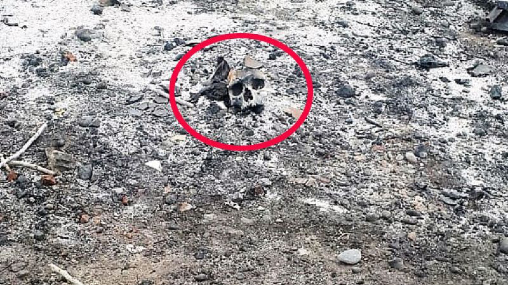 Encontraron un cráneo en las inmediaciones de la Ruta Nacional 3