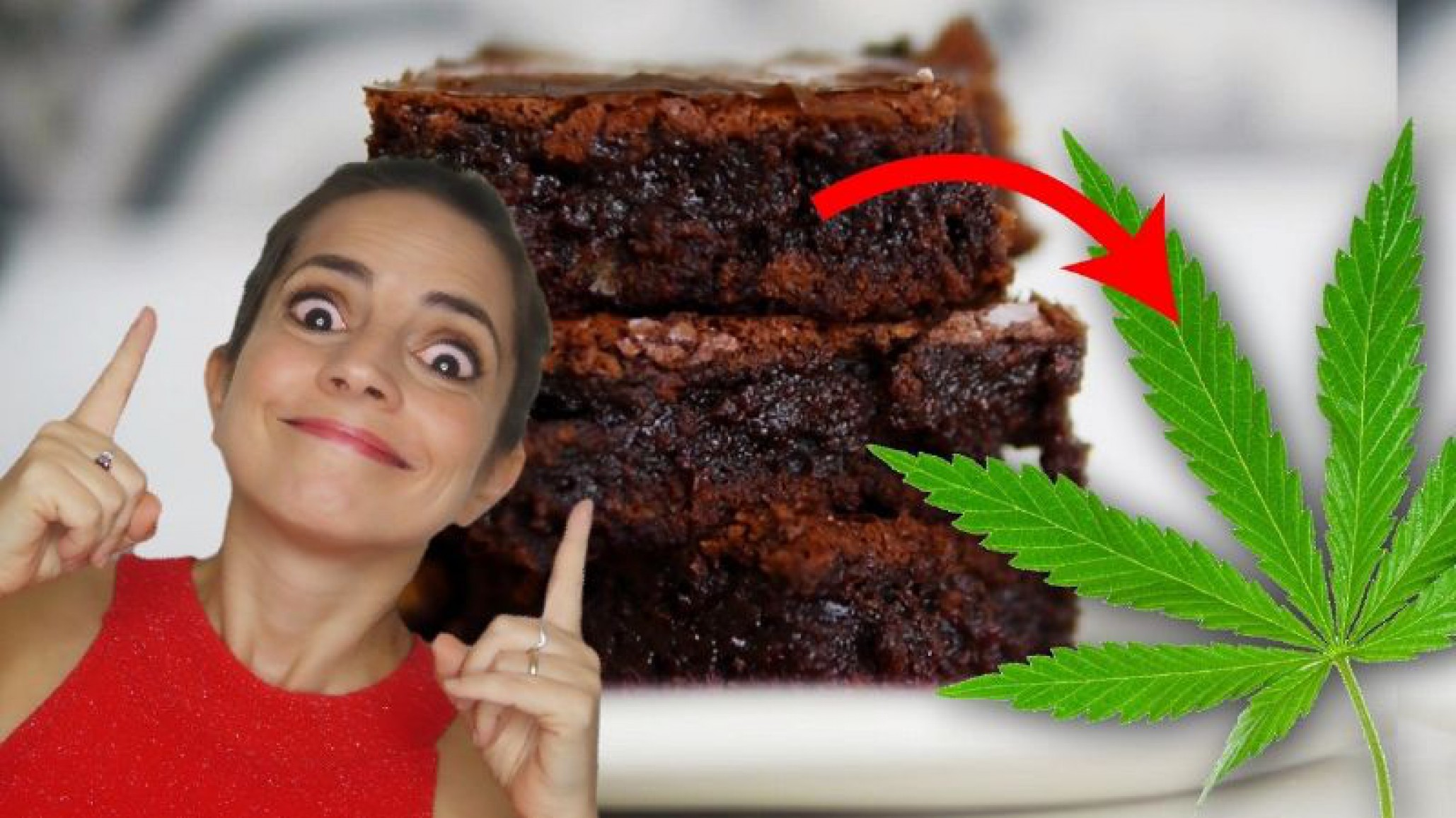 Paulina Cocina te enseña a hacer “Brownies locos” para estas fiestas ¿Ya tomaste nota?
