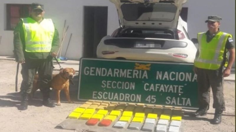 Hombre detenido en Salta con casi 50 kilos de cocaína en su auto