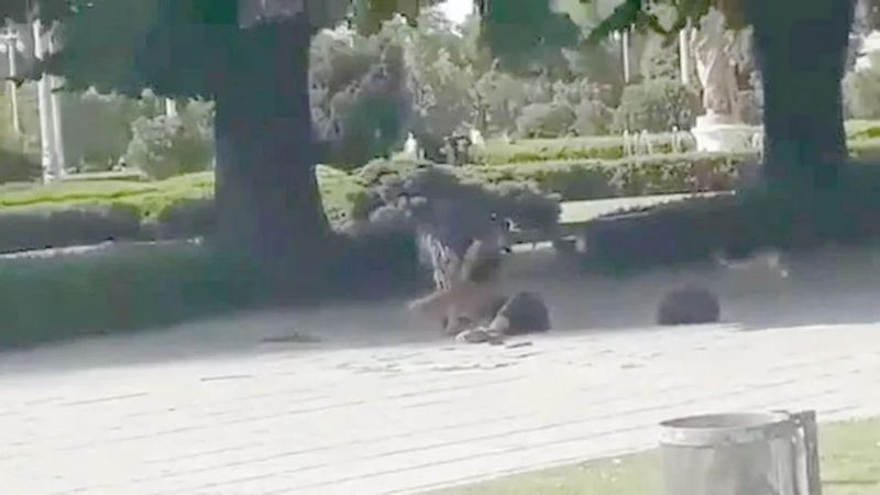Video: pelea de trapitos terminó con uno apuñalando al otro