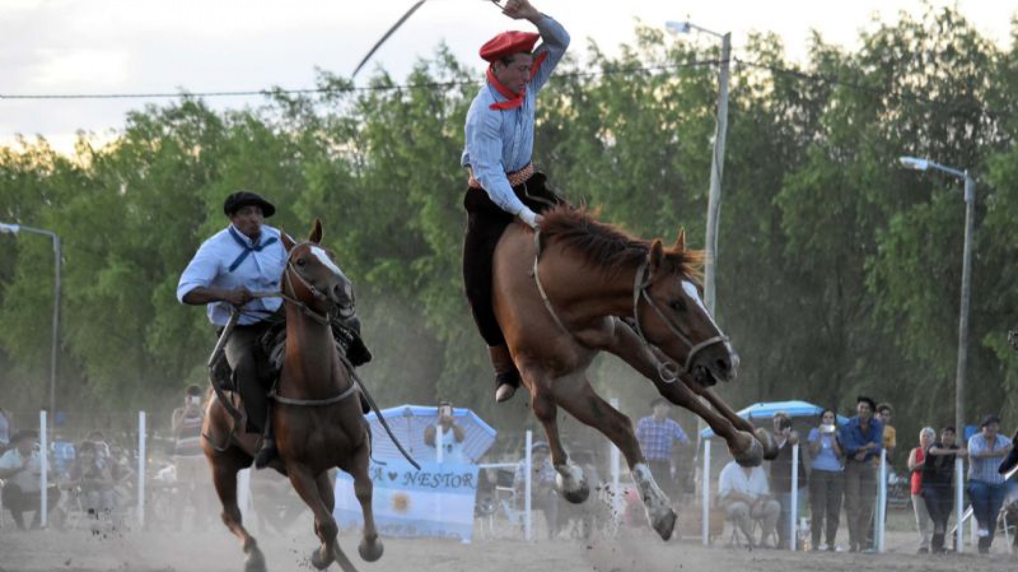La ONG exige que se derogue la ley que reconoce la jineteada como deporte