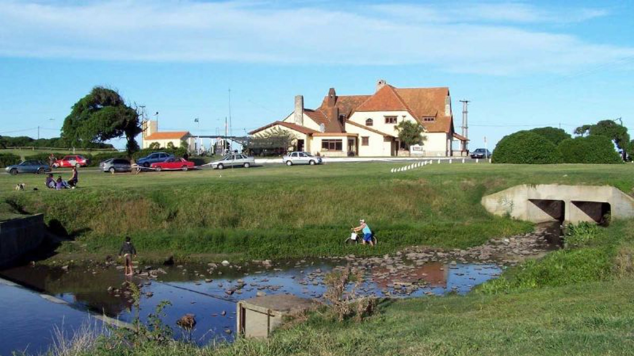 Disparo por la espalda, desfigurado y abandonado