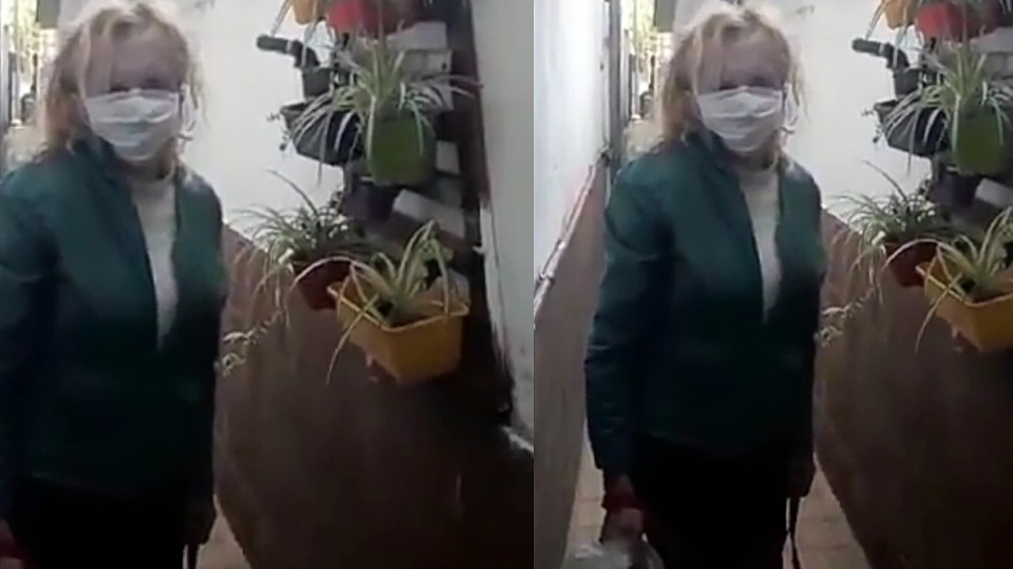 Zulma Lobato apareció y tendría coronavirus