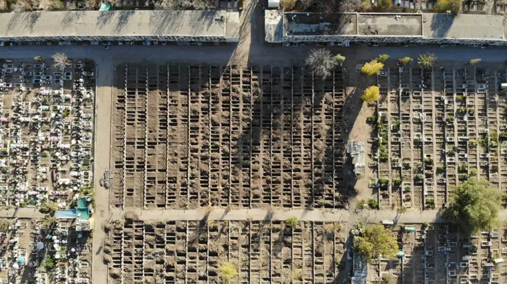 Chile se prepara para lo peor del coronavirus: cavan 1.000 tumbas