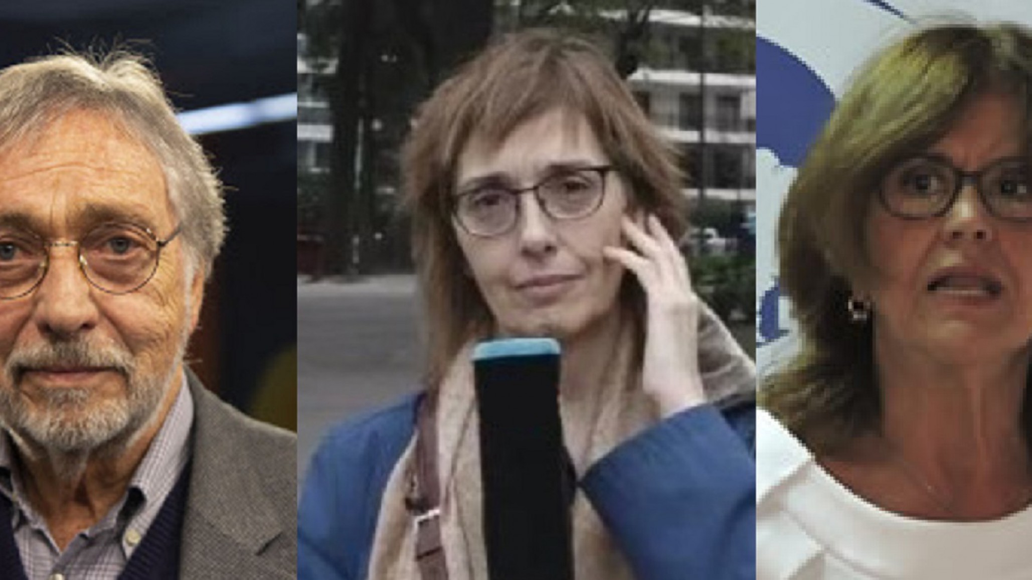Luis Brandoni, Sandra Pitta y otros 300 intelectuales plantearon que se vive una “infectadura”