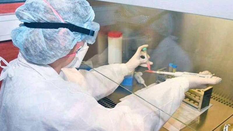 El gobierno de Formosa anunció 26 positivos de coronavirus después de su primer caso