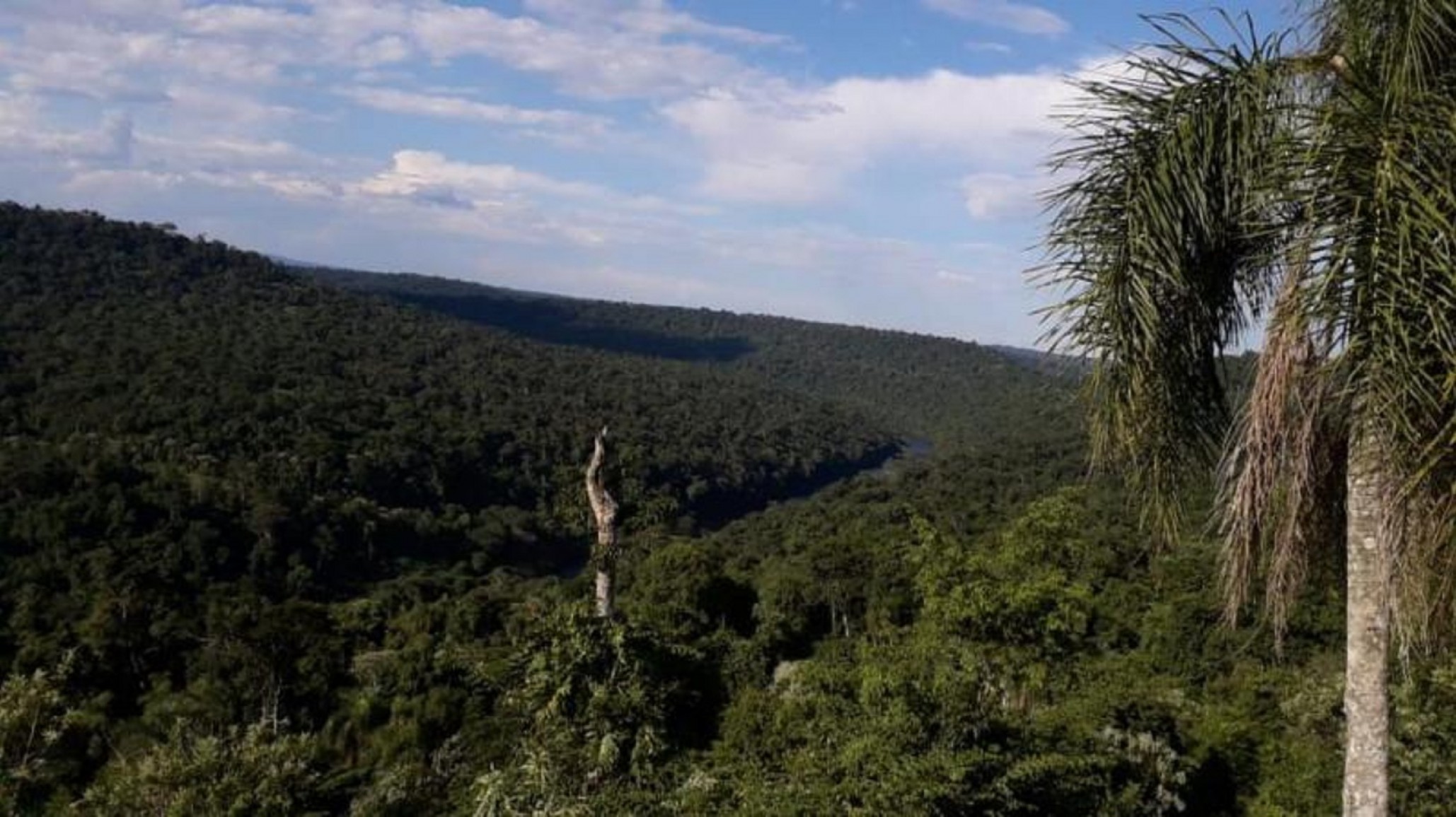 Detuvieron a un concejal de Misiones por cazar en una reserva natural: podría perder su cargo