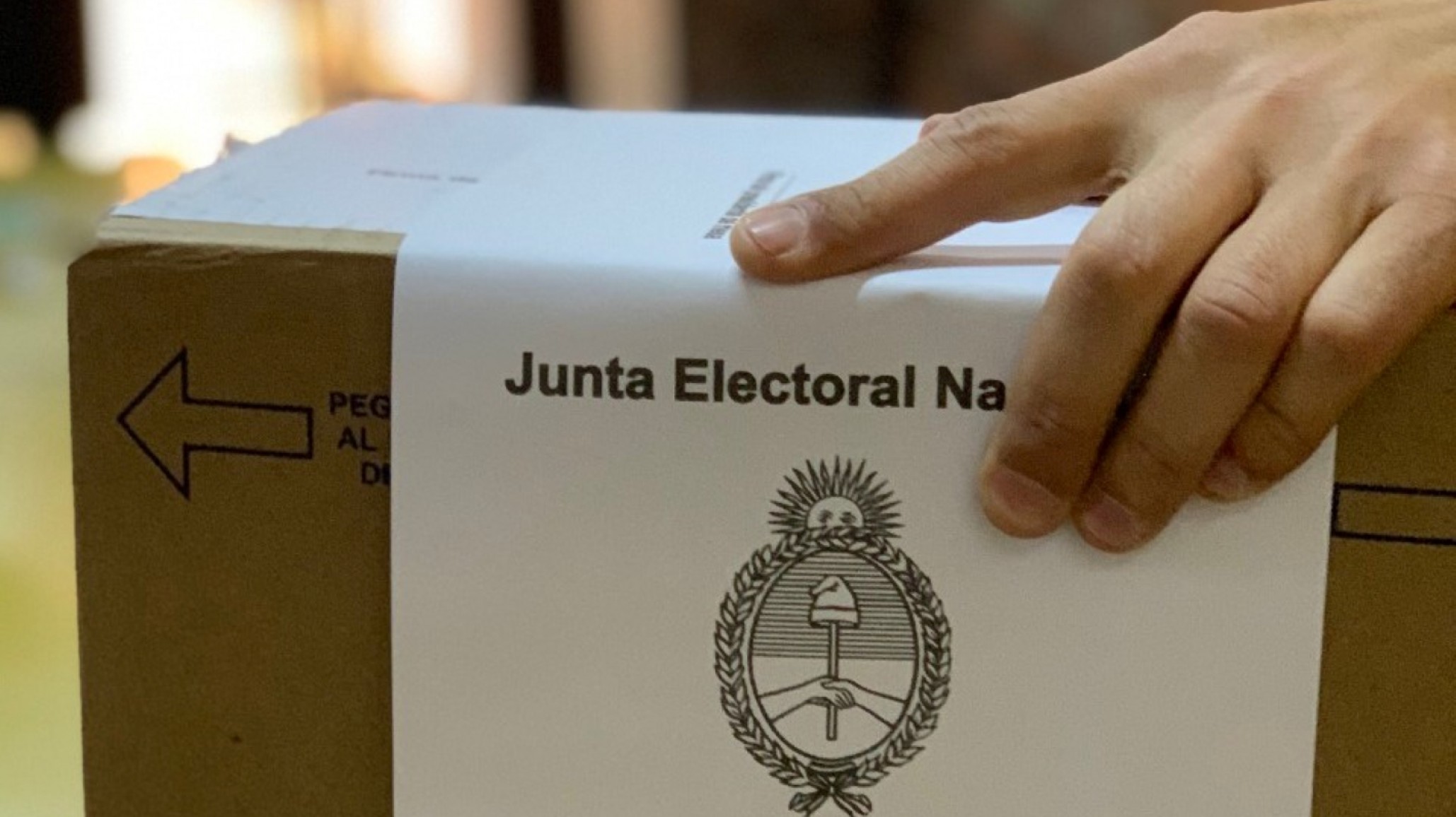 Elecciones: ¿Qué se vota este domingo?