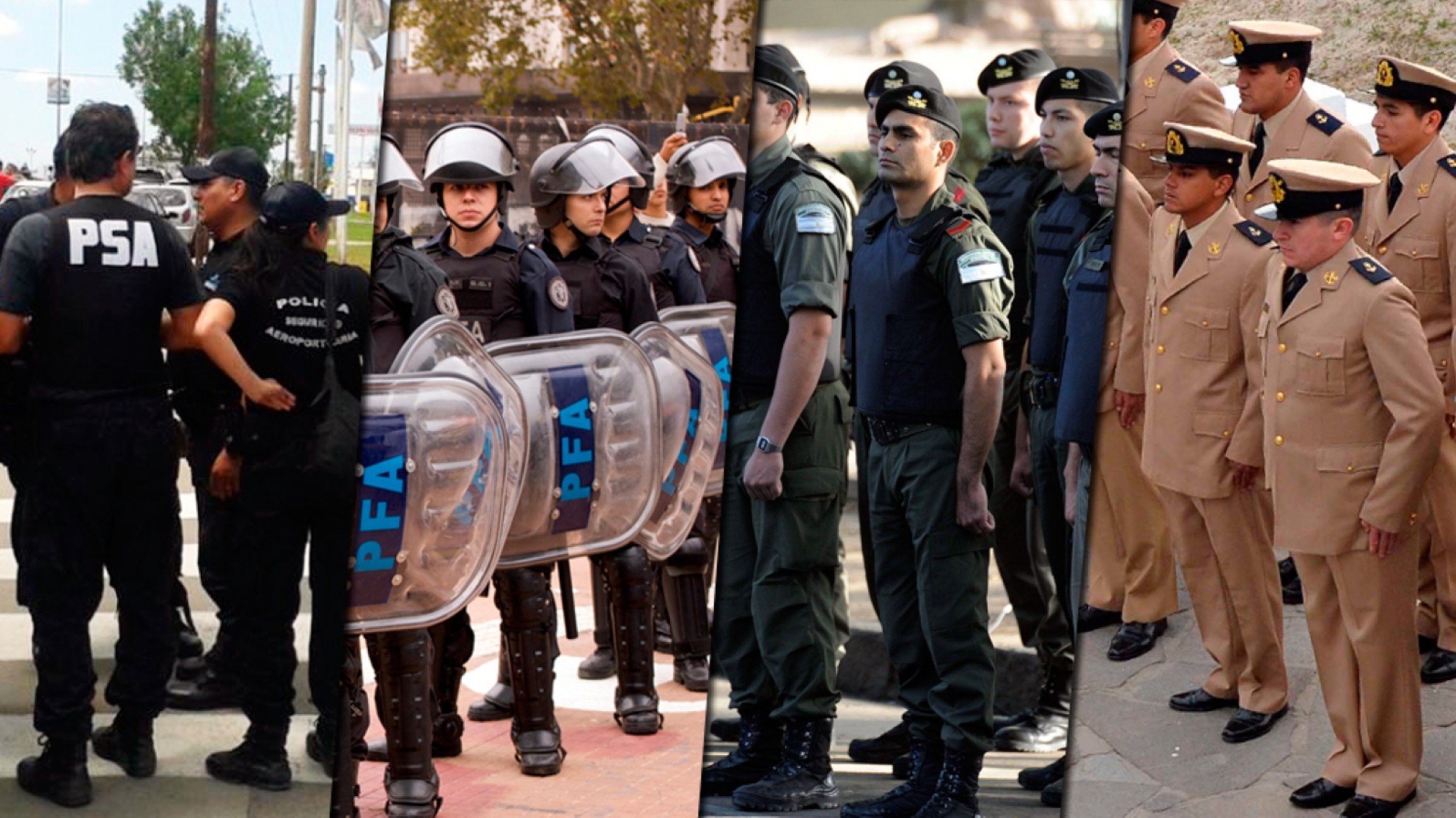 El gobierno reconstruirá fuerzas de seguridad para “defender al ciudadano y perseguir al delincuente”