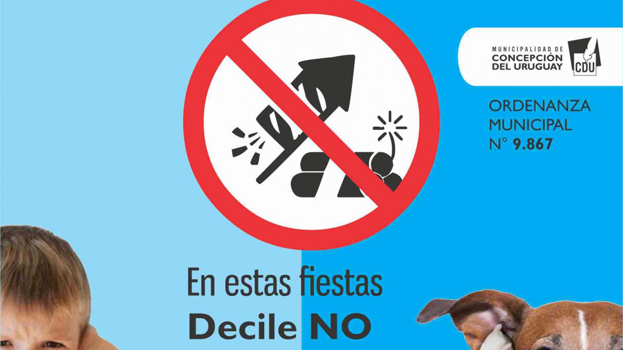 Un joven de 19 años con TEA murió producto de la crisis que le generó la pirotecnia