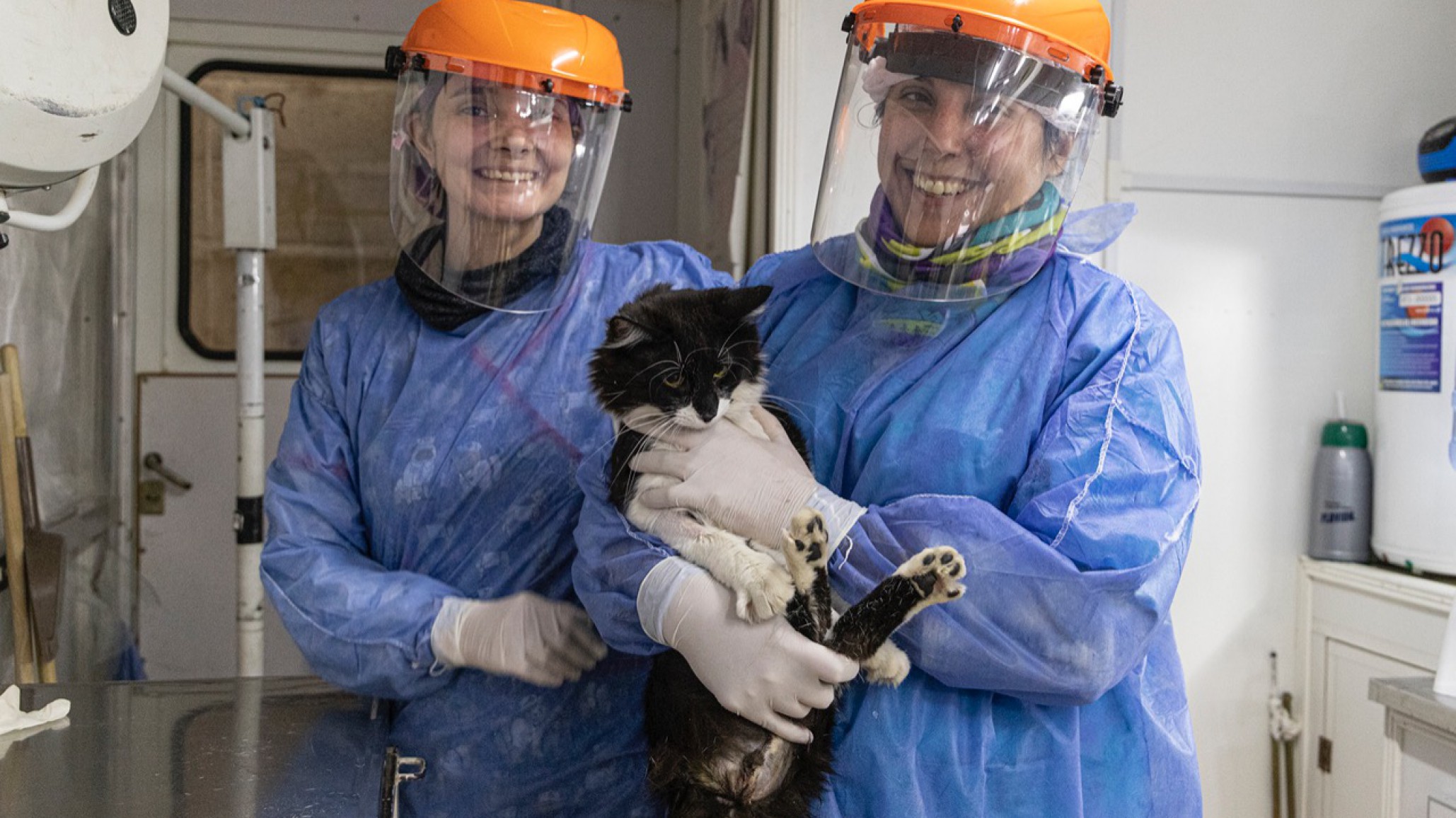 Trailer de castración: se ofrecen 150 turnos diarios ¿Cómo obtenerlos?