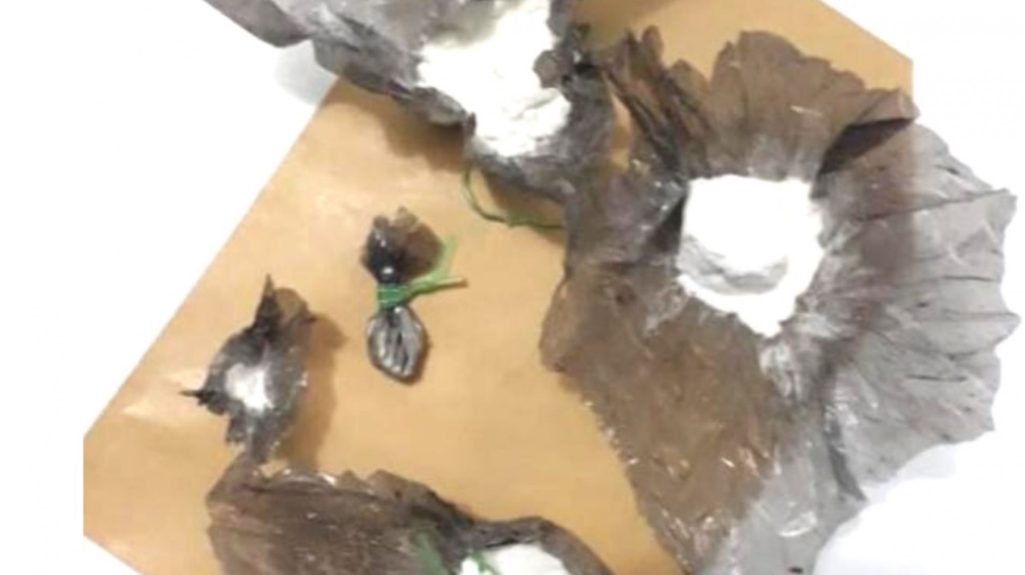 Peluquero y niñera dominicanos condenados por traficar droga a Caleta Olivia y Comodoro