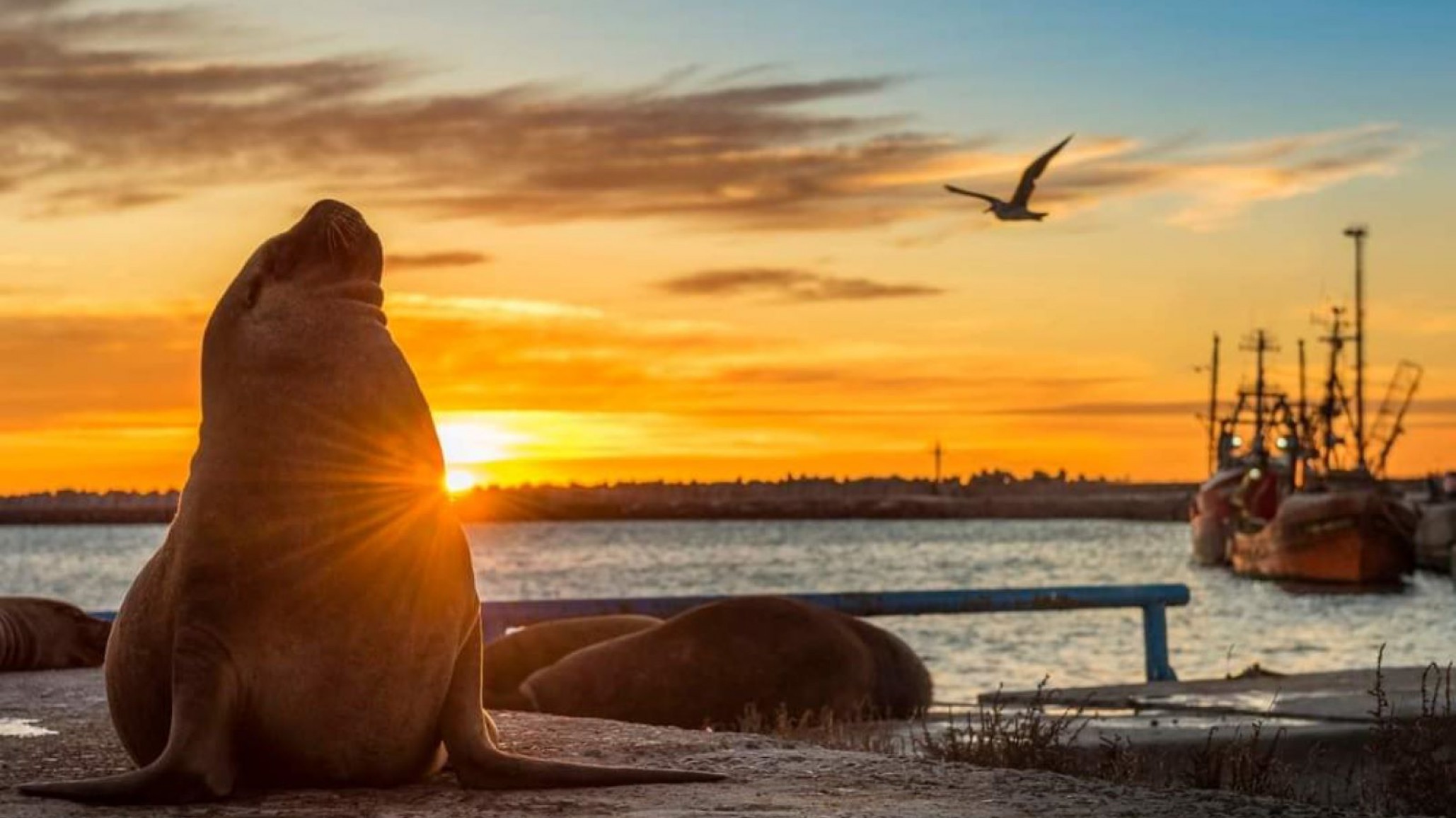 El pronóstico anuncia viento y una máxima de 20º