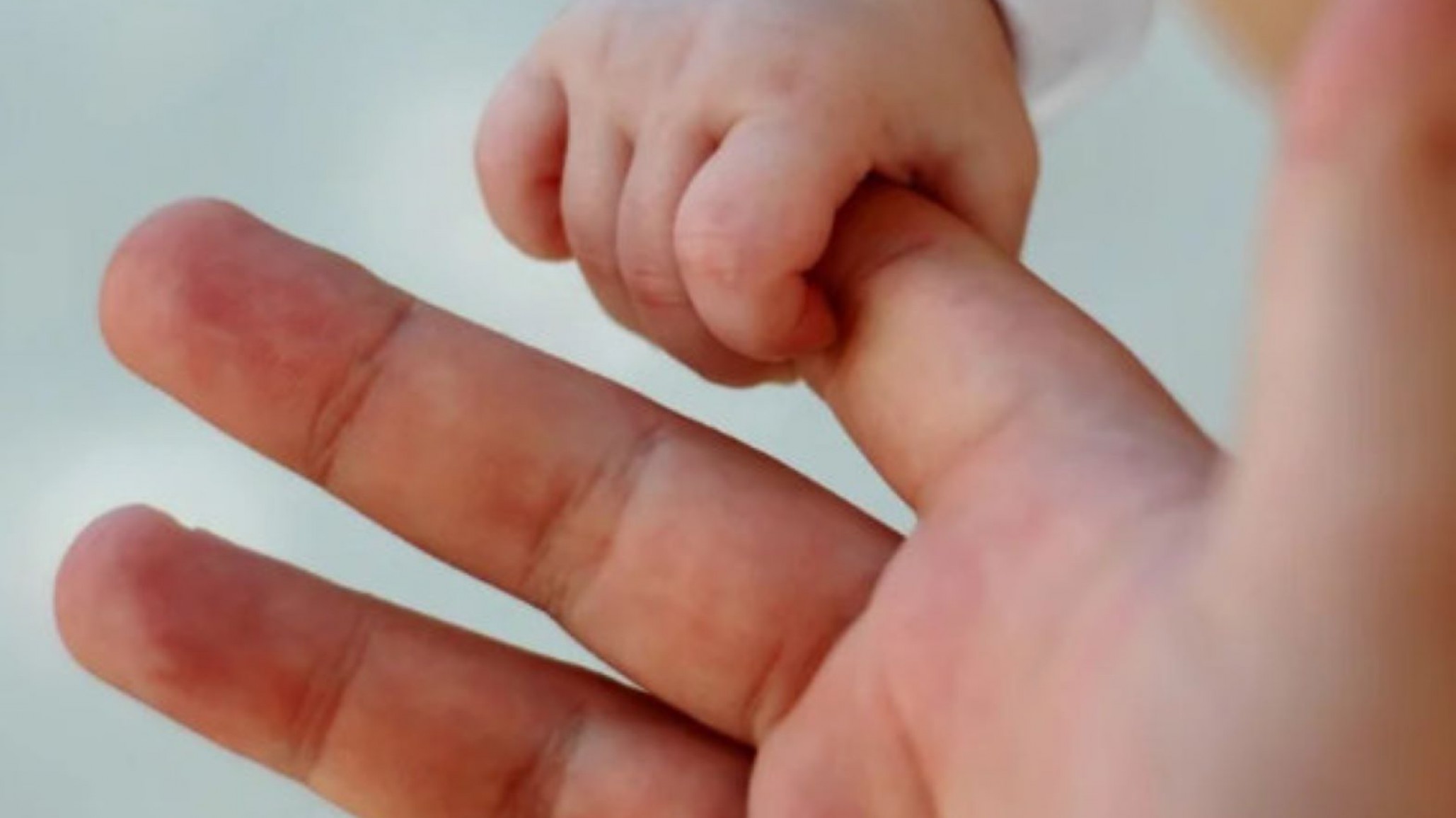 Convocan a interesados en el programa ?Familias del Corazón?