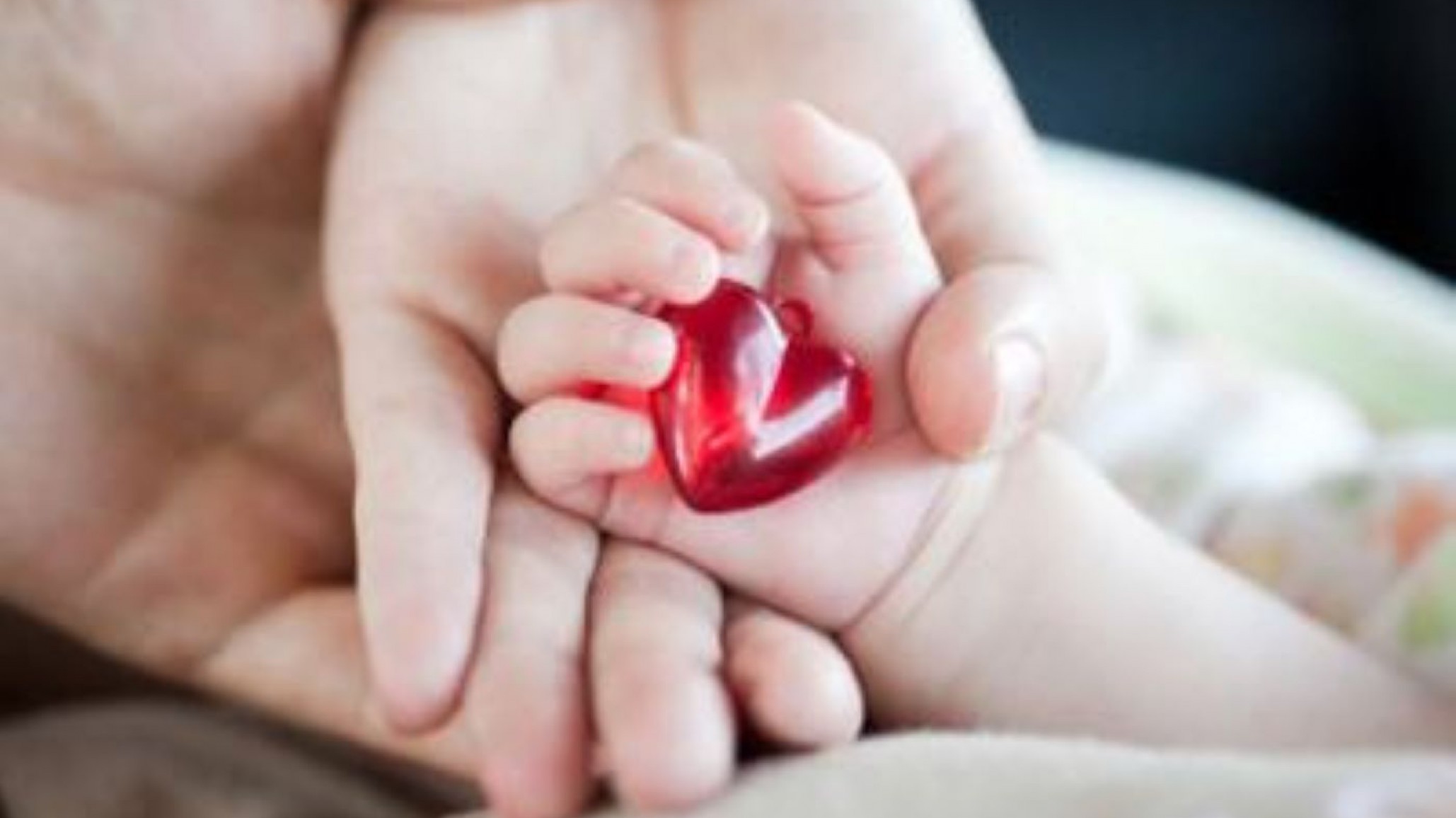 Se busca familia transitoria para dos hermanos de 2 años