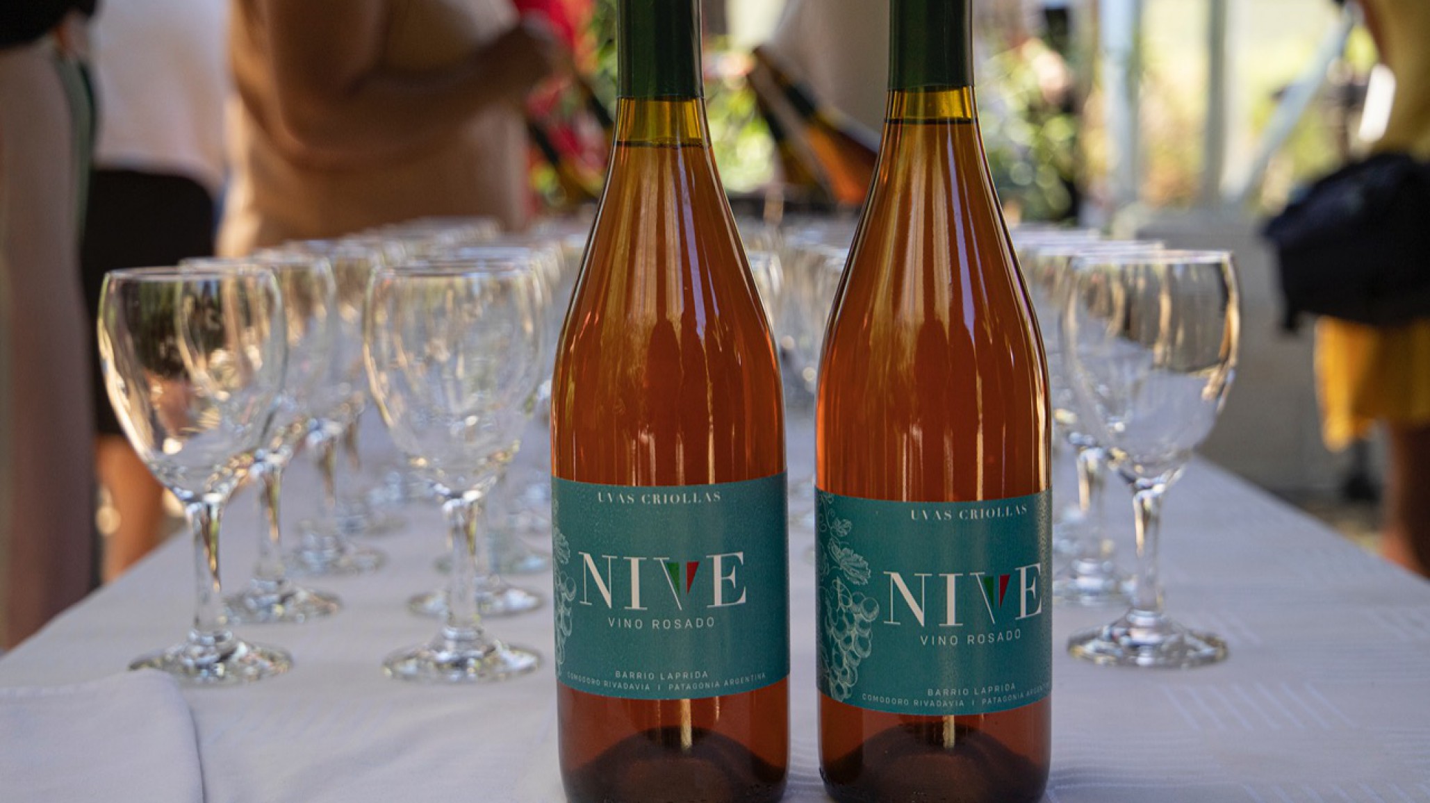 Se presentaron los vinos comodorenses Cosecha 2022