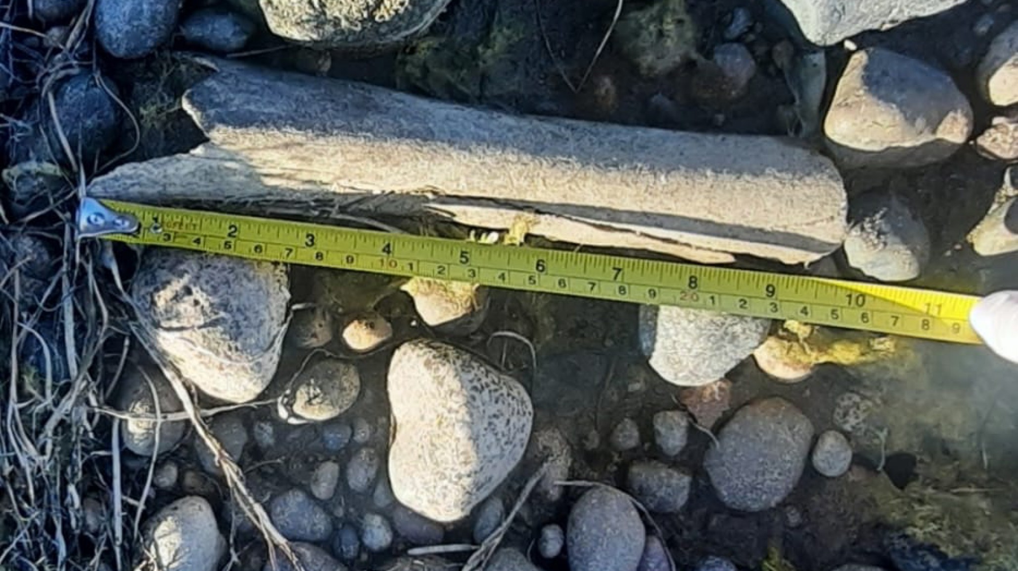 <p>Foto: Comodoro24</p>