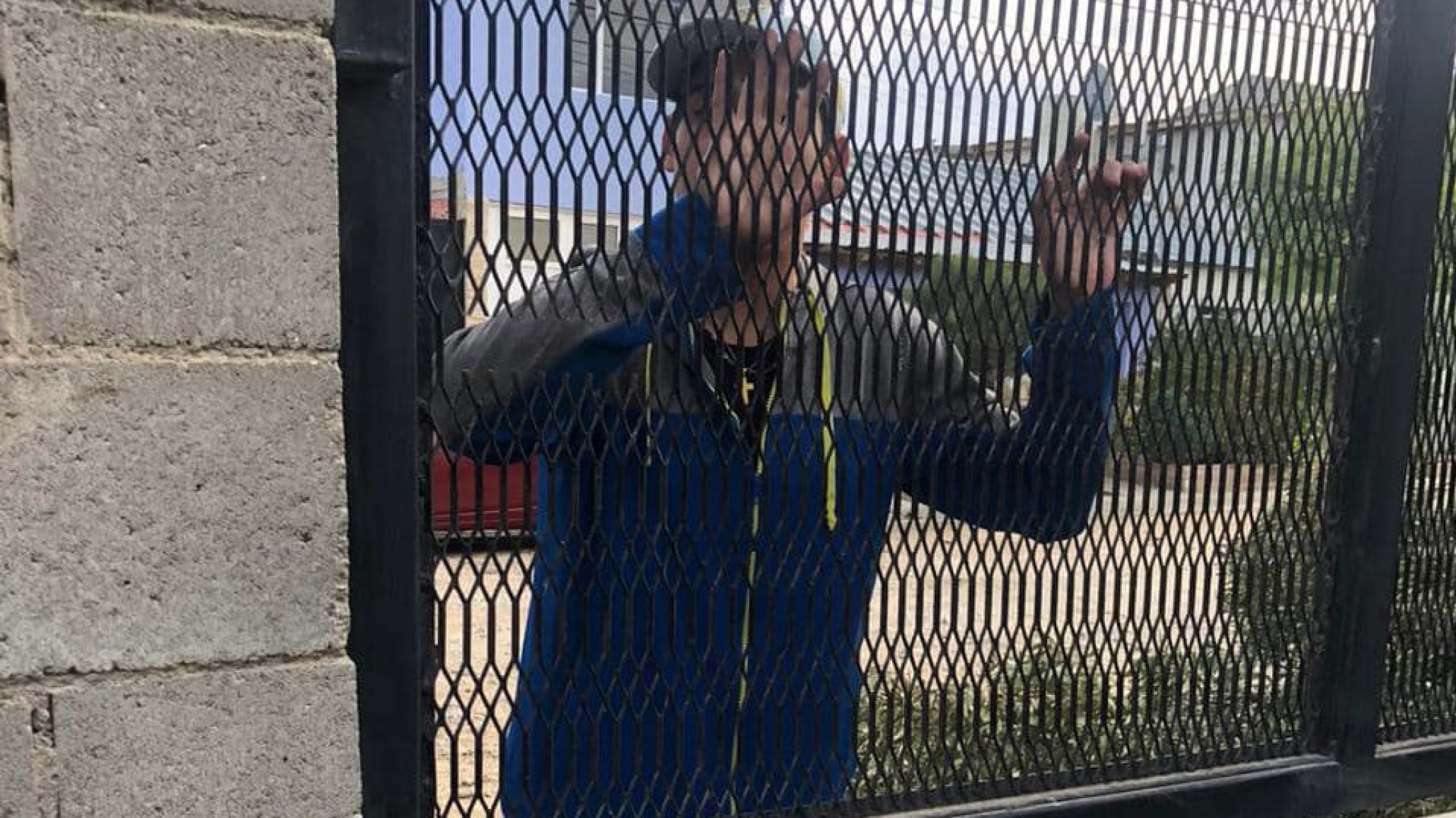 Una mujer escrachó en redes a dos delincuentes que quisieron robar su perro pitbull