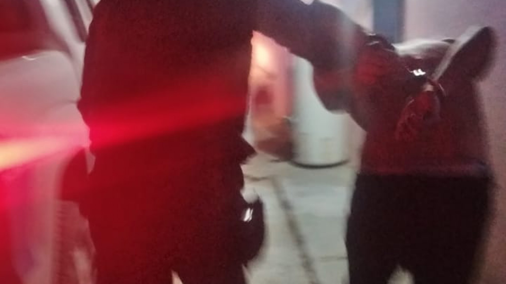 Joven detenido por causar daños en la casa de la suegra