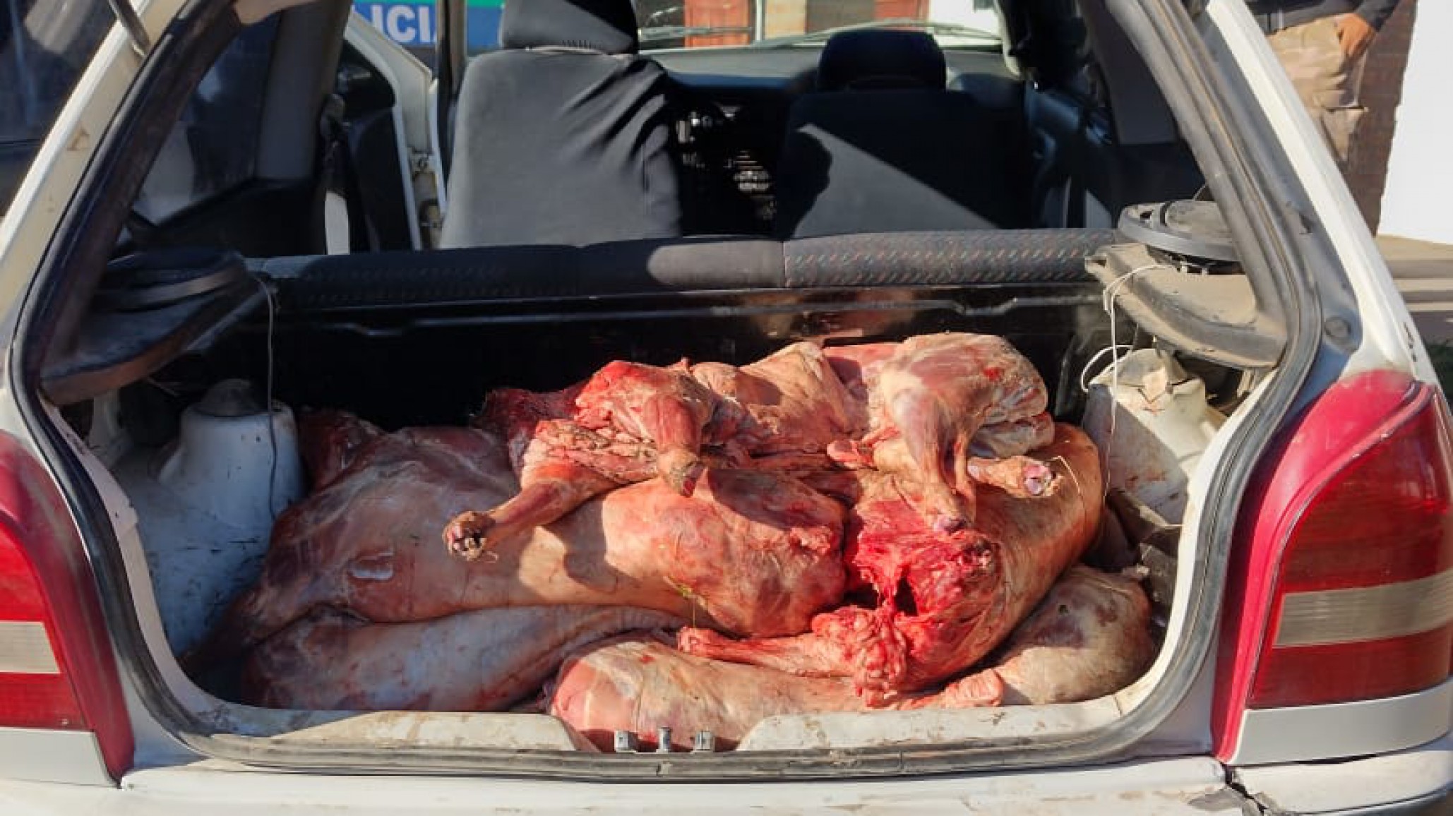 Secuestran 14 corderos faenados, y crece la preocupación por el aumento de robos en los campos