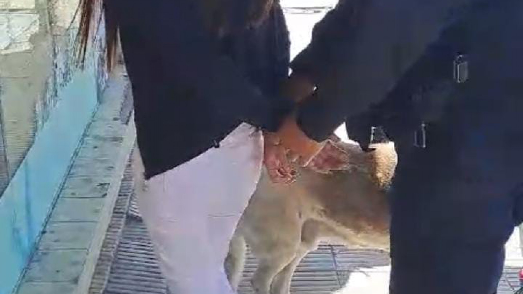 ¡Empleada del mes! Se robó dos perfumes de Natalia Oreiro y un par de ojotas pero la encargada la descubrió y le sacó una foto