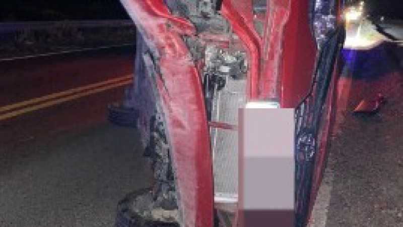 Vuelco: conductor chocó su auto con un caballo suelto en plena ruta y terminó en el hospital