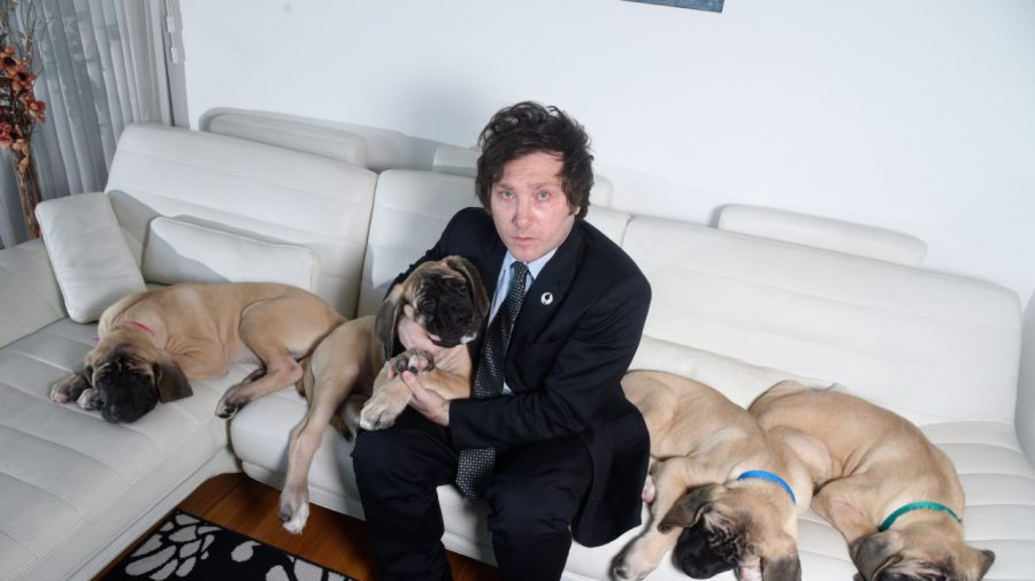 Milei se mudará a la Quinta de Olivos con atención especial a sus perros