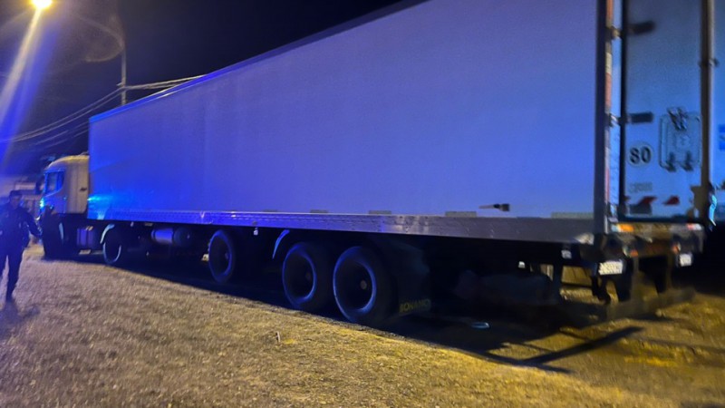Secuestran cargamento millonario: atraparon a camionero con 70 cajones de langostinos
