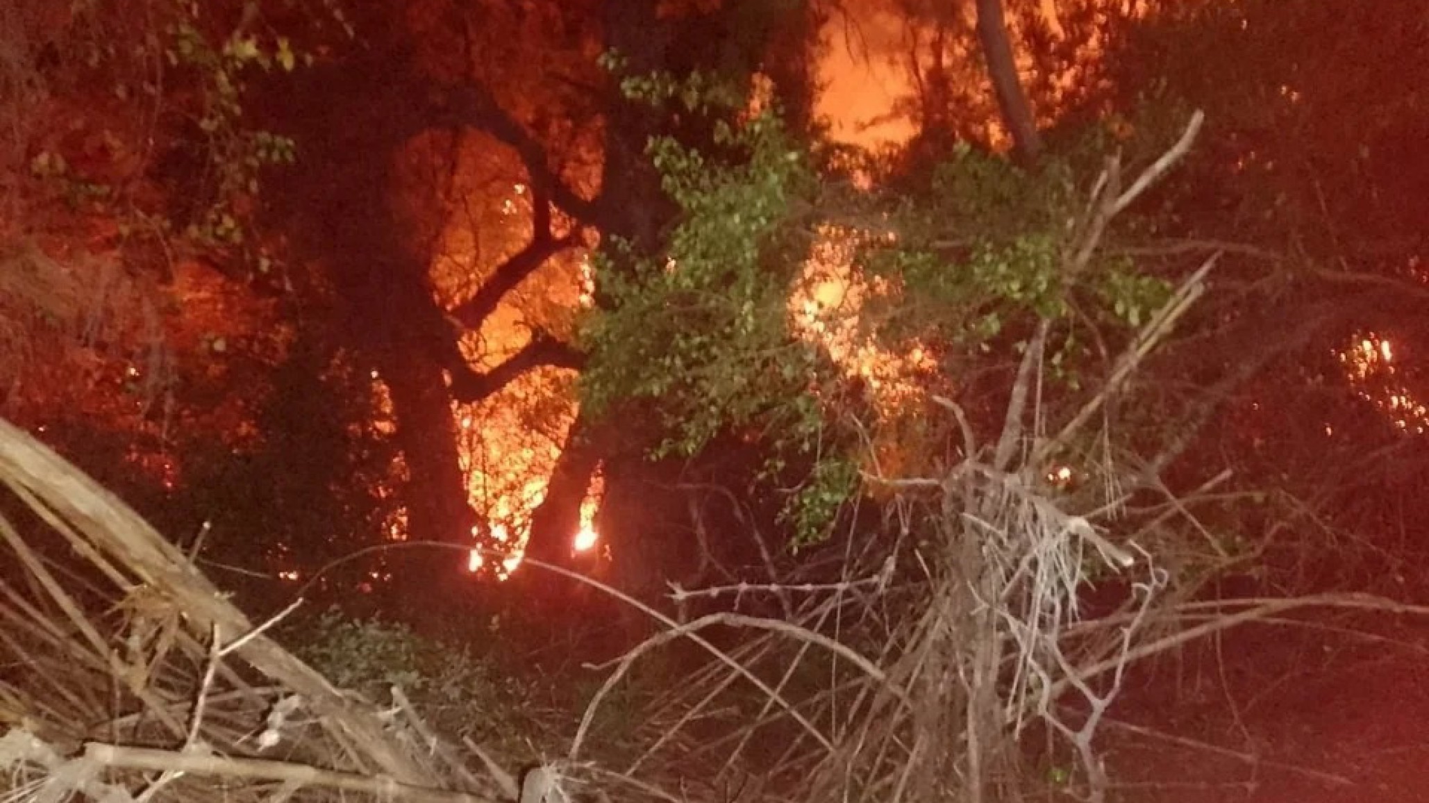 Incendio forestal en Los Alerces: ya se quemaron 65 hectáreas