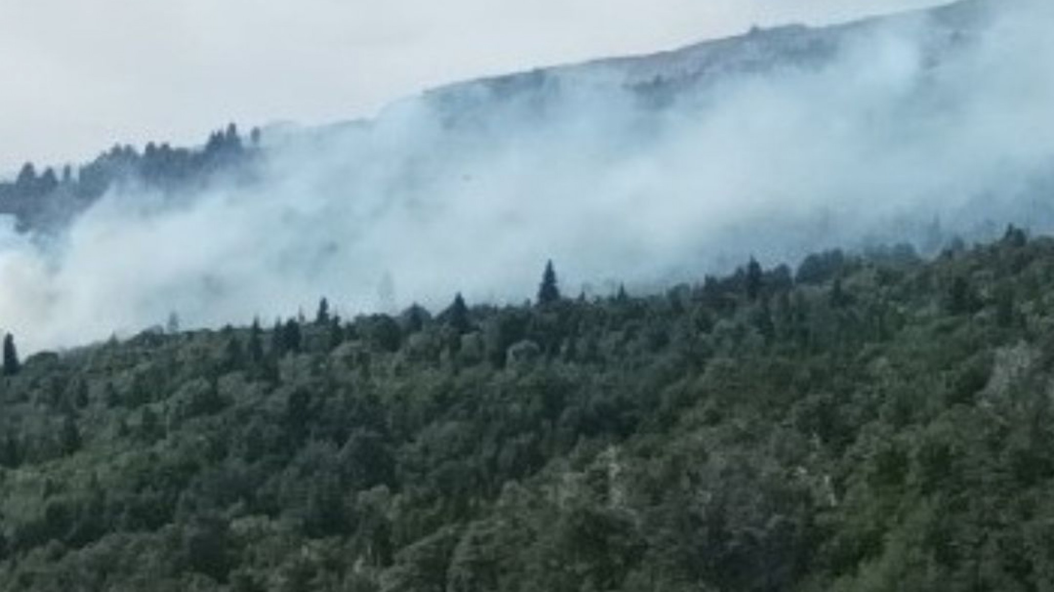 Incendio en Los Alerces: Continúa la batalla y ya hay afectadas cerca de 3000 hectáreas