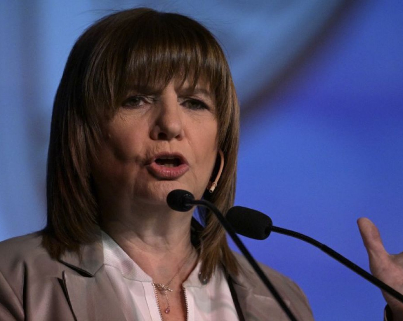 Patricia Bullrich reunió al bloque libertario y confirmó que la reforma laboral se debatirá en diciembre