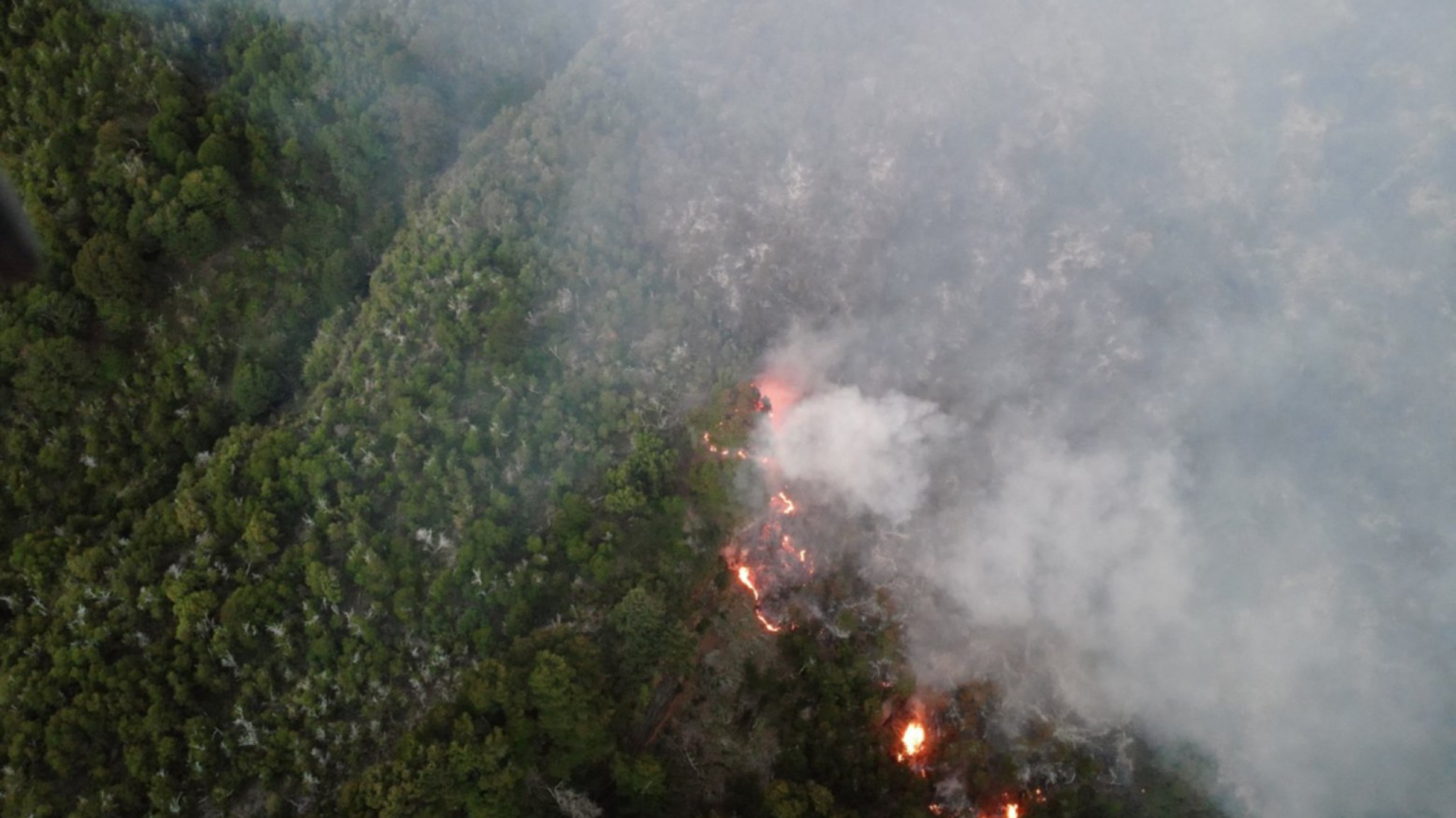Ofrecen millonaria recompensa por datos de incendios en el Parque Nacional Los Alerces