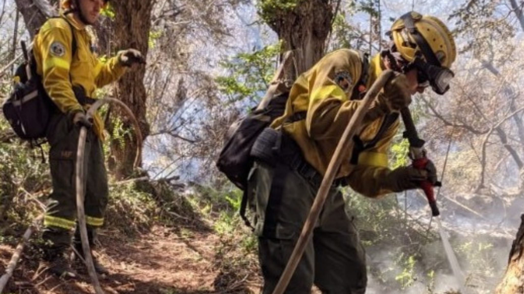 Comodoro Rivadavia: 18 bomberos dispuestos a combatir el incendio en el Parque Nacional Los Alerces