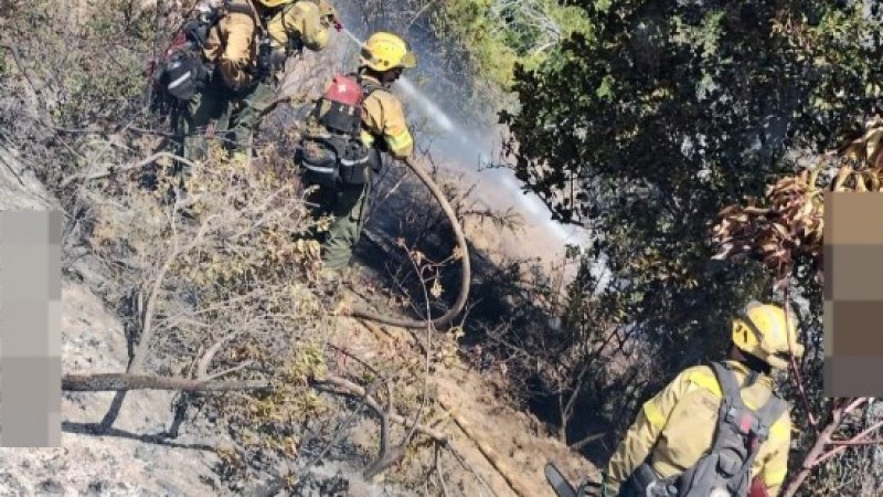 Llovió en el Parque Nacional Los Alerces y se pronostican 4 días de precipitaciones abundantes