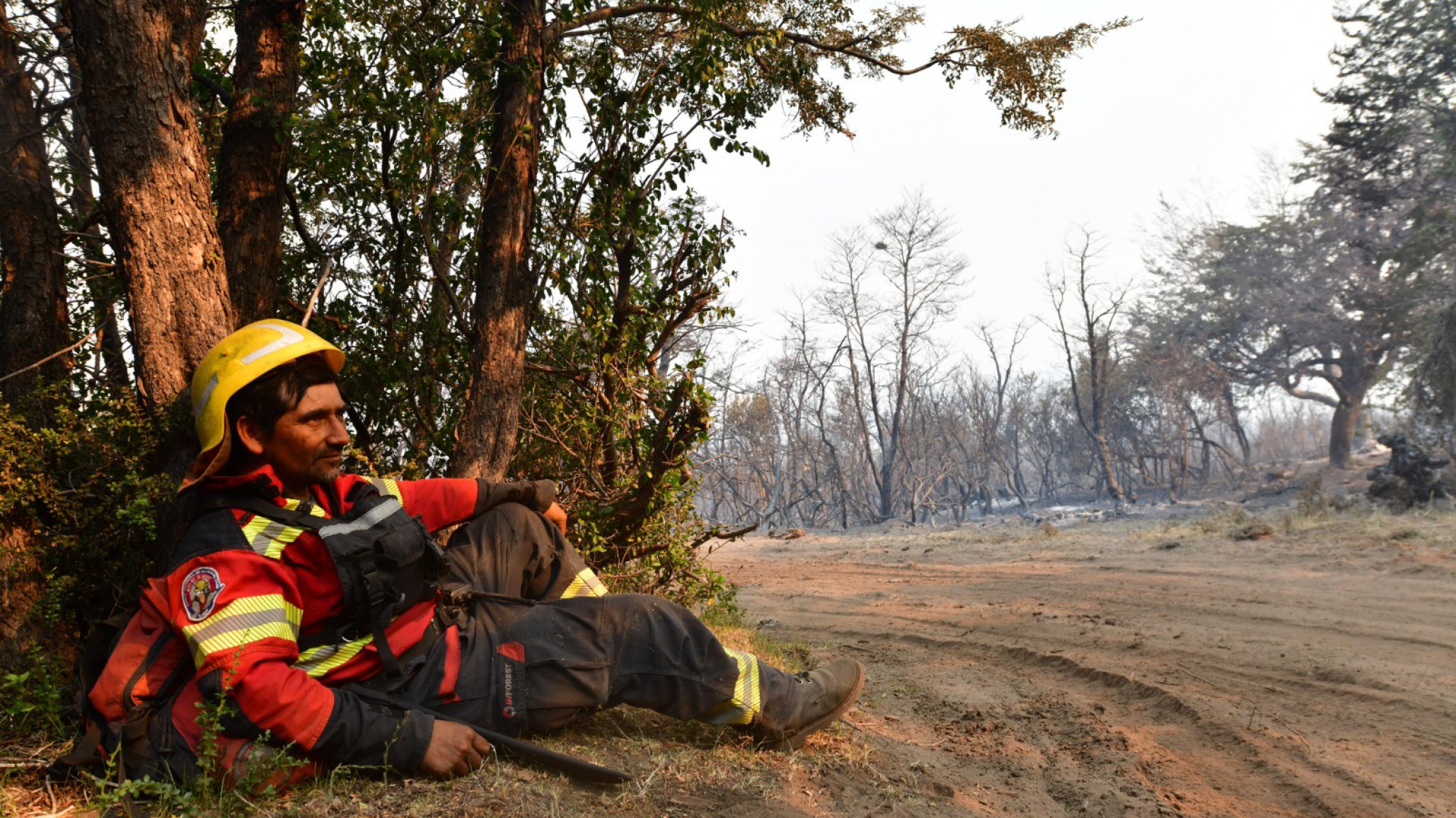 "Los Alerces": siguen combatiendo el incendio y llegan brigadistas de Santa Fe
