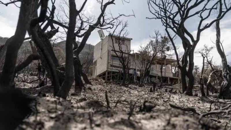 La inexplicable supervivencia de Monte Lontano: un oasis en medio del desastre del incendio