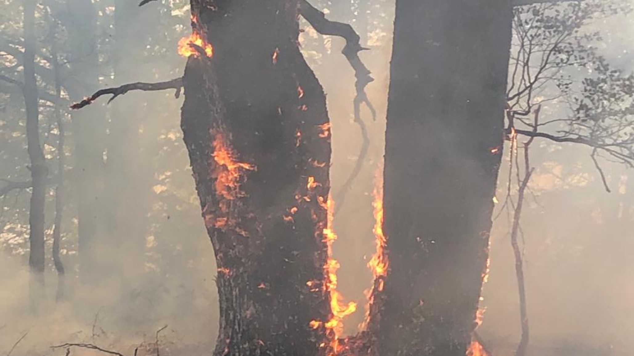 Los Alerces: grandes avances en el control del incendio forestal