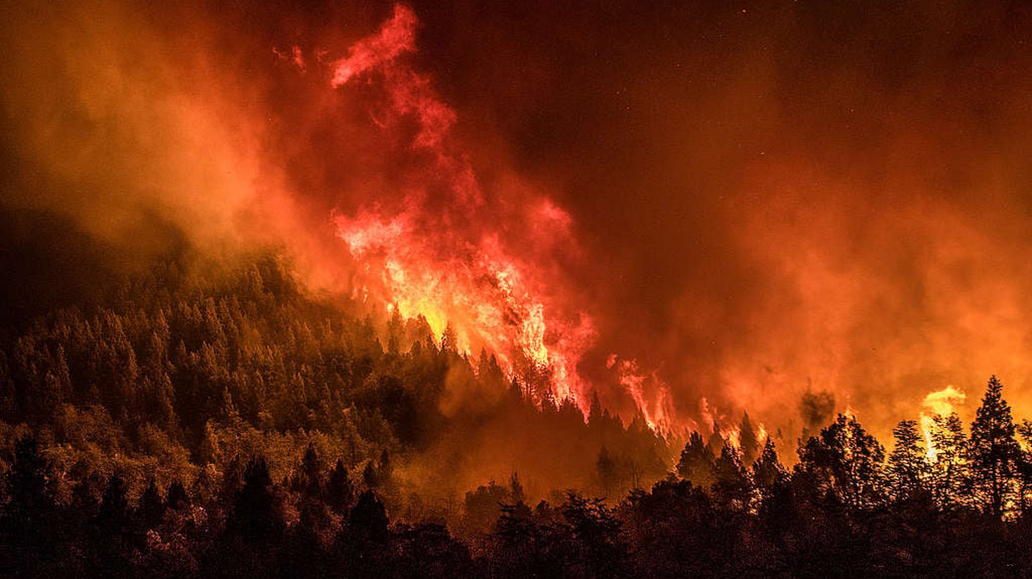 Incendio forestal en Parque Nacional Nahuel Huapi: se reportó "mínima actividad de propagación"