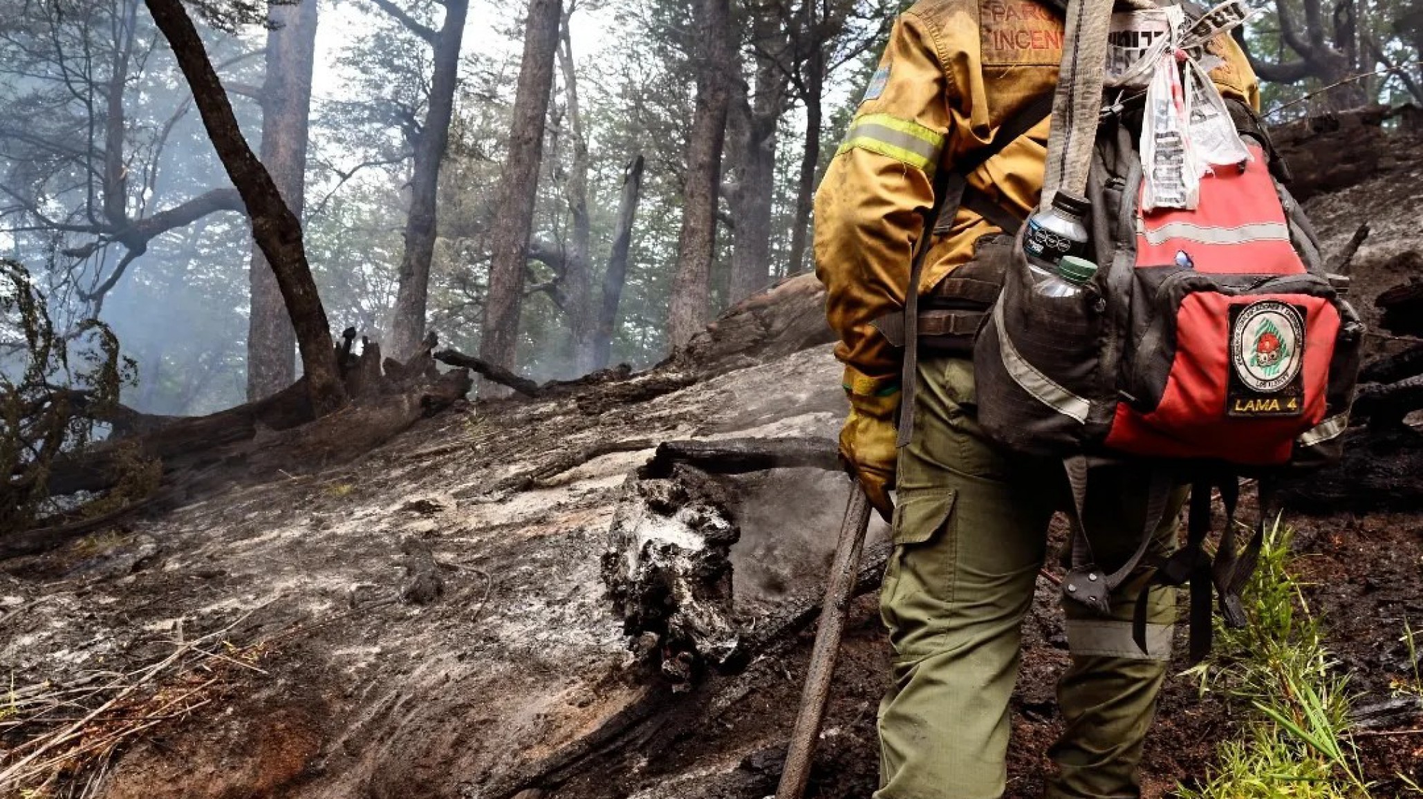 Los Alerces: Han comenzado los relevamientos de las áreas afectadas por los incendios