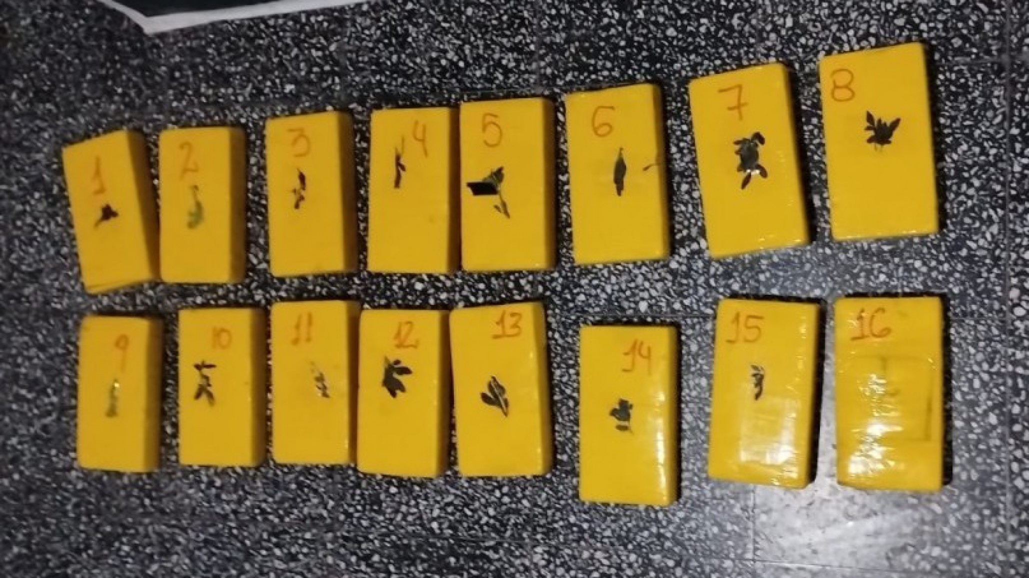 Secuestraron 17 kilos de cocaína en el operativo "Mochilas de Nieve"