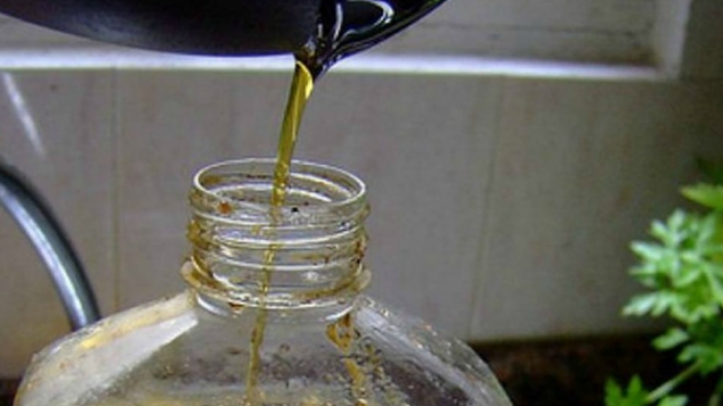 Van a recolectar aceites vegetales usados en el Festín de Sabores