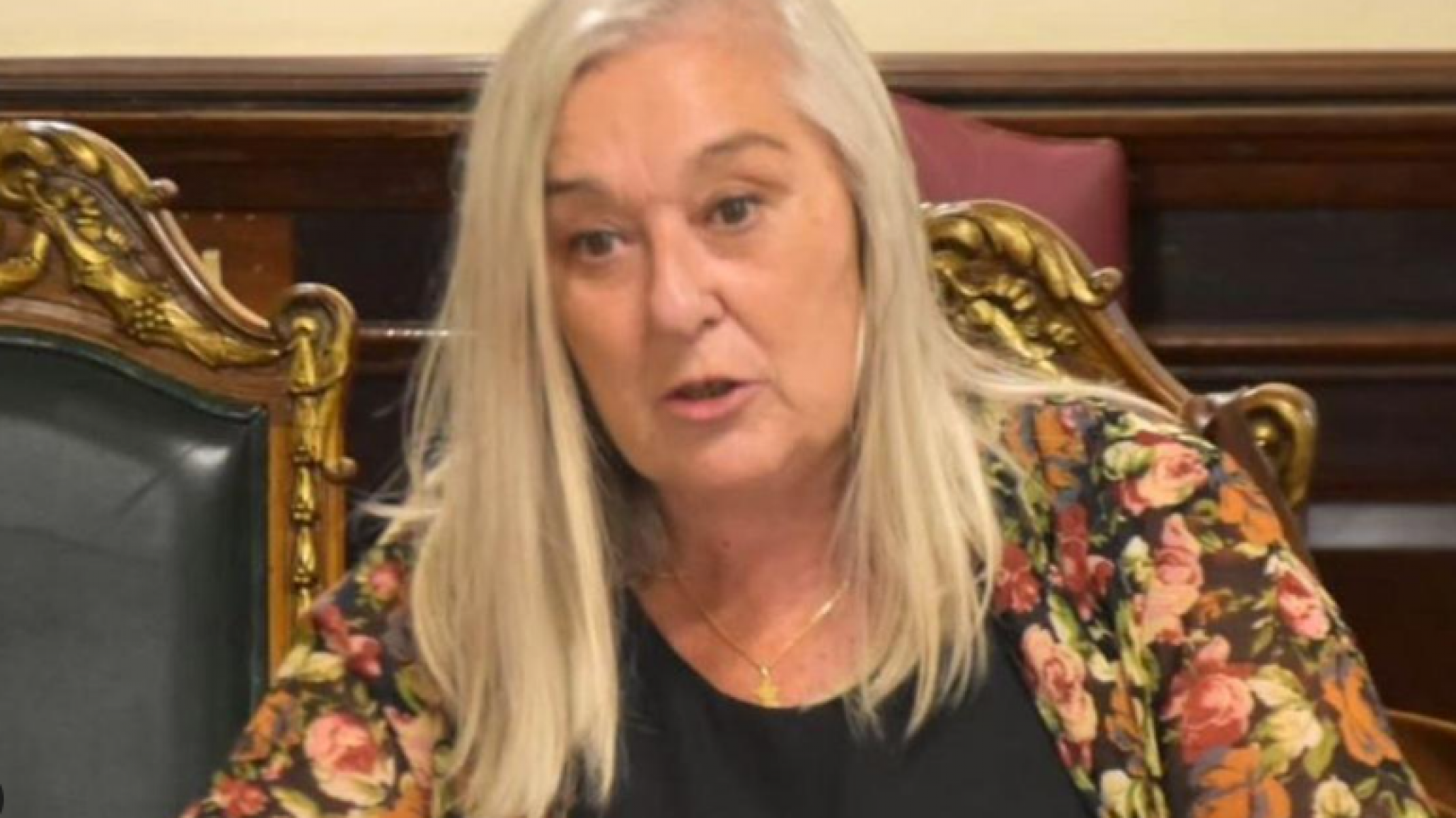 La senadora Edith Terenzi presentará una denuncia penal por las amenazas recibidas