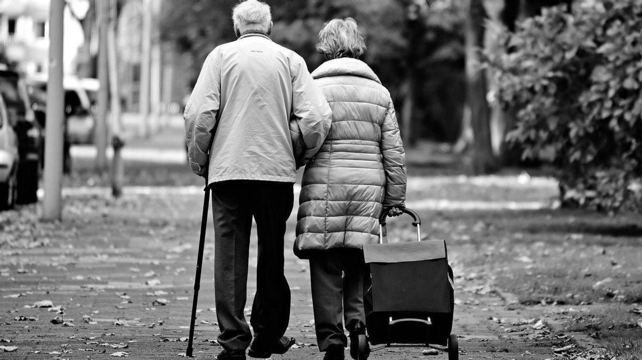 El Banco Provincia renueva sus descuentos exclusivos para mayores de 60 años con Cuenta DNI durante abril 2024