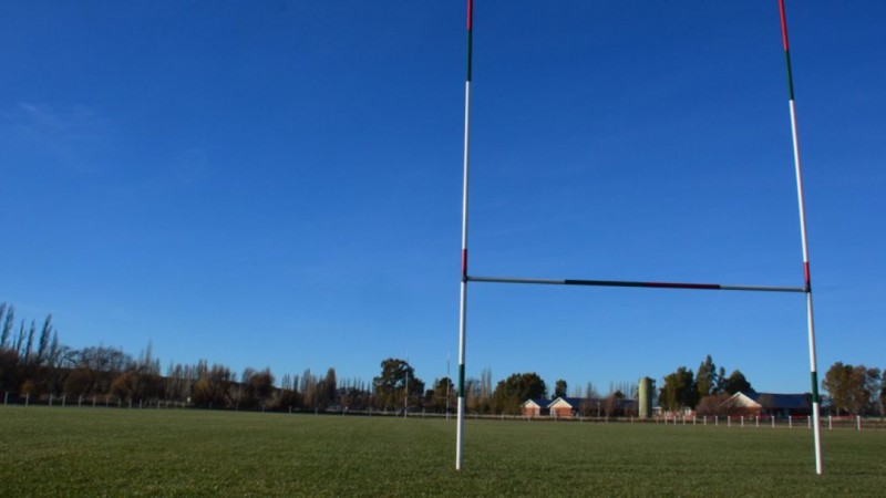 Un pitbull atacó y mordió a una mujer en la cara: esta internada