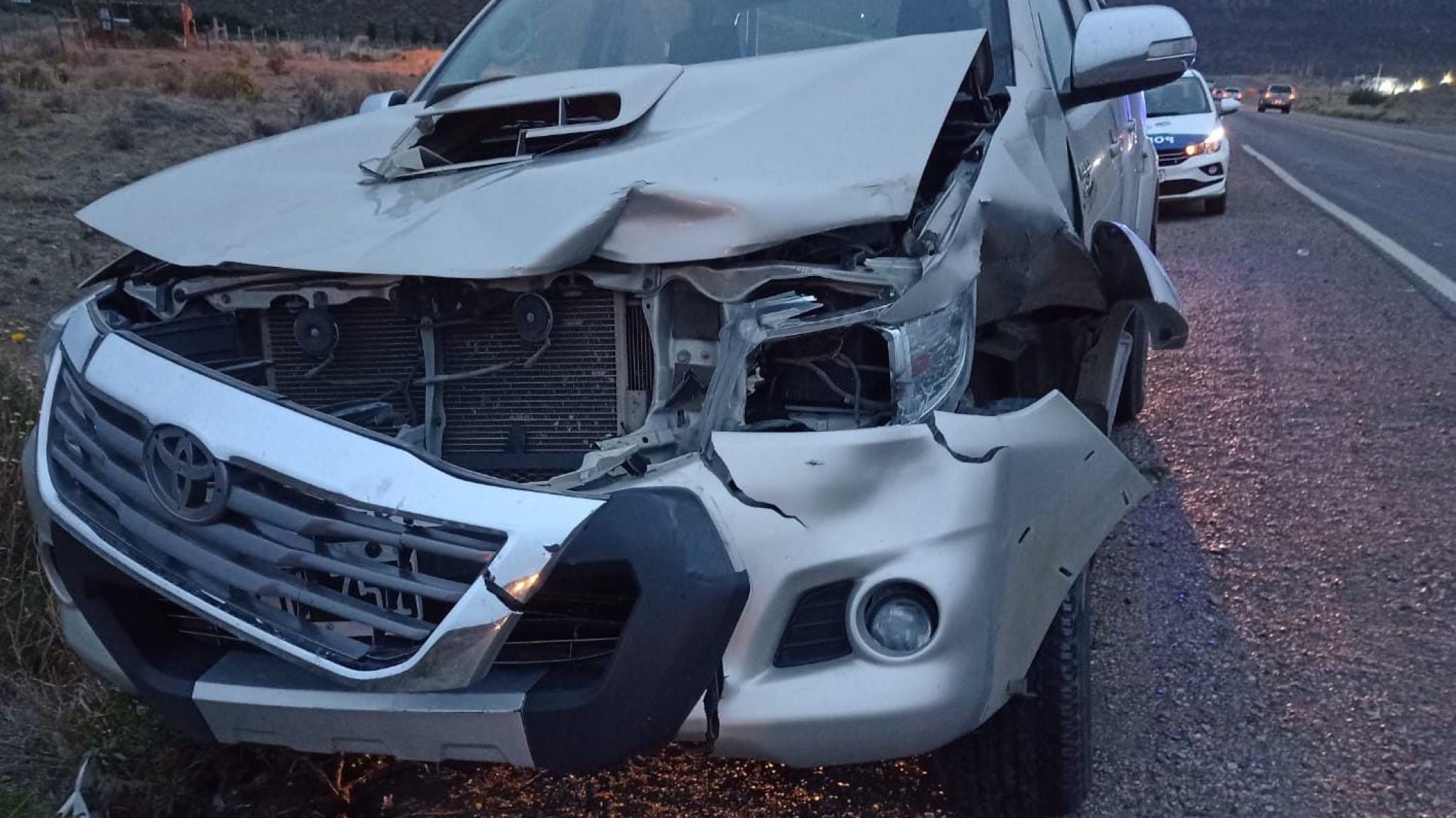 Iba a trabajar en su Toyota y se le cruzó un caballo en plena ruta