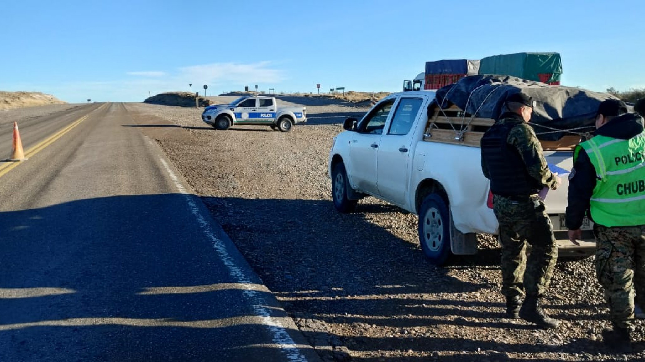 Incautaron animales en un control en la Ruta Provincial 37