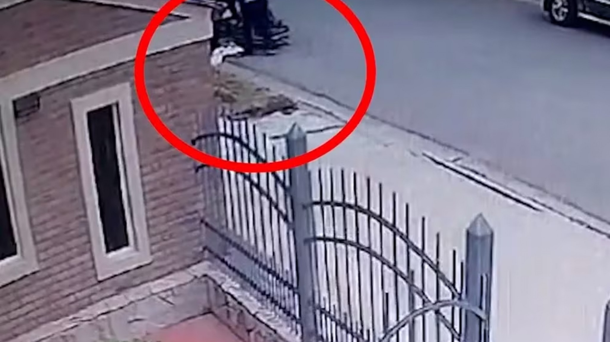 Jubilado murió tras caer de una camilla: el video que fue clave para esclarecer el hecho